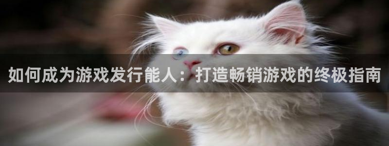 新宝gg平台注册?：如何成为游戏发行能人：打造畅销游戏的终极指南