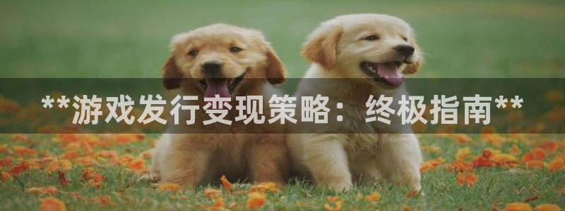 新宝gg6—创造奇迹官方登录：**游戏发行变现策略：终极指南**