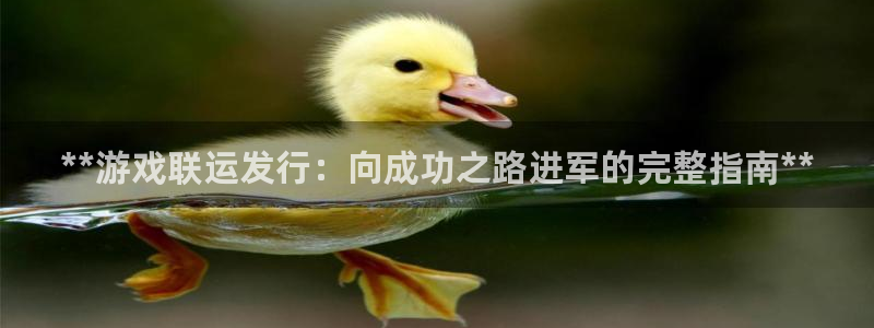 新宝gg创造奇迹登录最简单三个步骤：**游戏联运发行：向成功之路进军的完整指南**