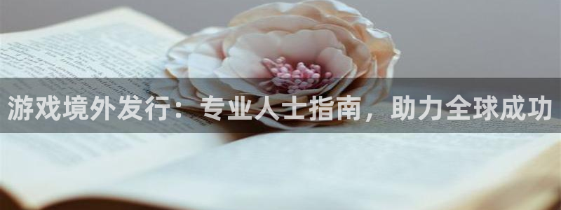 新宝gg平台注册官网：游戏境外发行：专业人士指南，助力全球成功