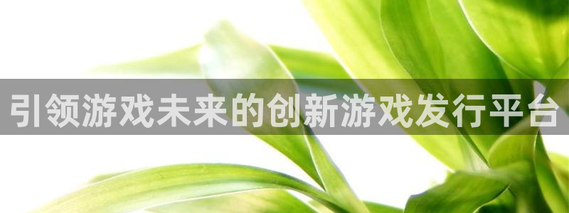 新宝gg一创造奇迹代理测速：引领游戏未来的创新游戏发行平台
