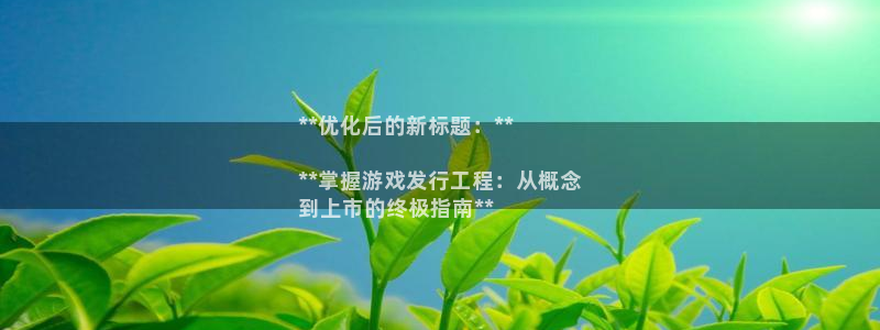 新宝测速gg：**优化后的新标题：**

**掌握游戏发行工程：从概念
到上市的终极指南**