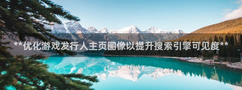新宝gg创造奇迹登录入口：**优化游戏发行人主页图像以提升搜索引擎可见度**