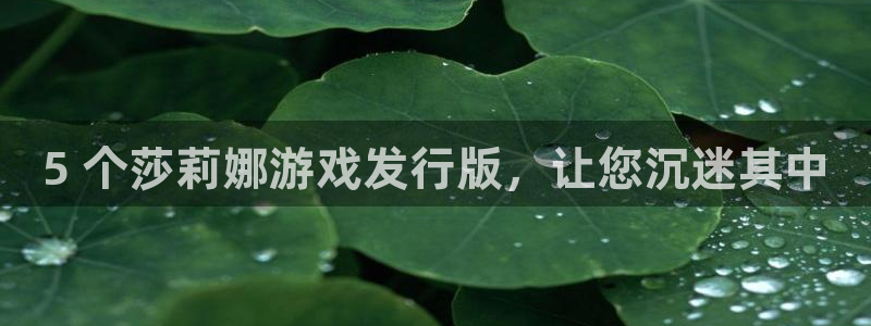 新宝gg创造奇迹手机登录：5 个莎莉娜游戏发行版，让您沉迷其中