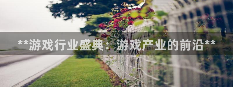 新宝gg一创造奇迹代理测速：**游戏行业盛典：游戏产业的前沿**