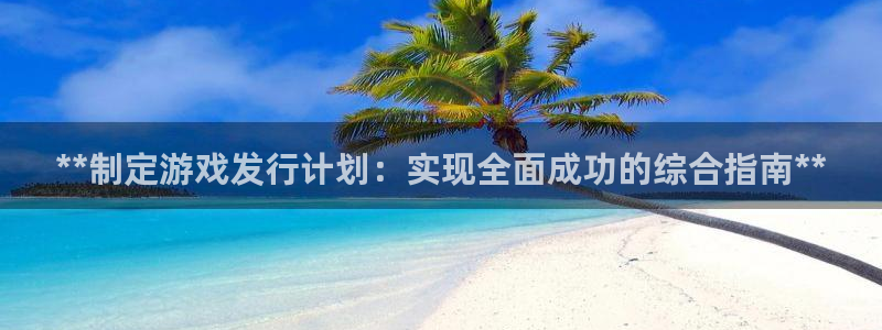 新宝gg登录不上去了了：**制定游戏发行计划：实现全面成功的综合指南**