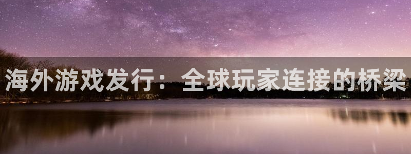 新宝gg奇迹登录怎么登录不了：海外游戏发行：全球玩家连接的桥梁