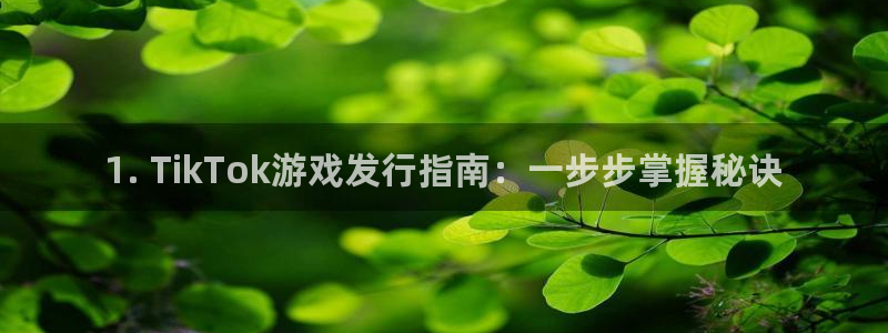 新宝gg登录不上去了了：1. TikTok游戏发行指南：一步步掌握秘诀