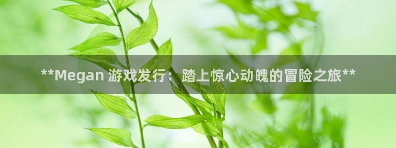 新宝gg__创造奇迹登录：**Megan 游戏发行：踏上惊心动魄的冒险之旅**