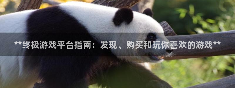 新宝GG平台开户