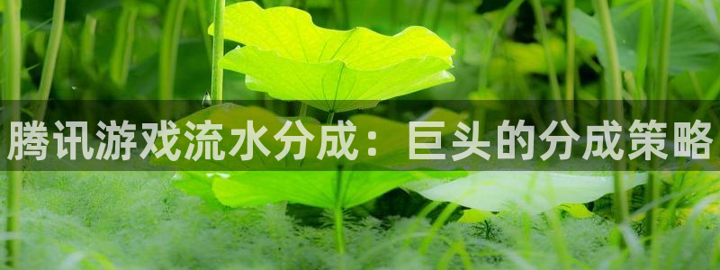 新宝gg上线被抓