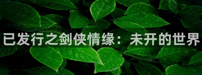 新宝gg–创造奇迹