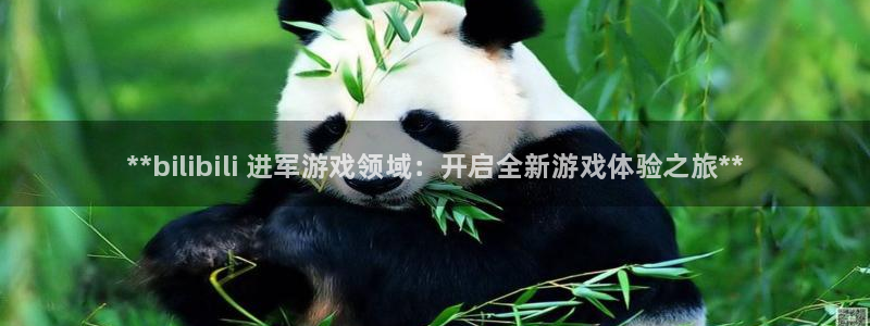 新宝GG平台德711.112如何处理：**bilibili 进军游戏领域：开启全新游戏体验之旅**