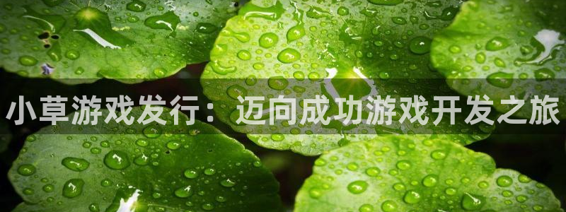 新宝gg — 创造奇迹!：小草游戏发行：迈向成功游戏开发之旅