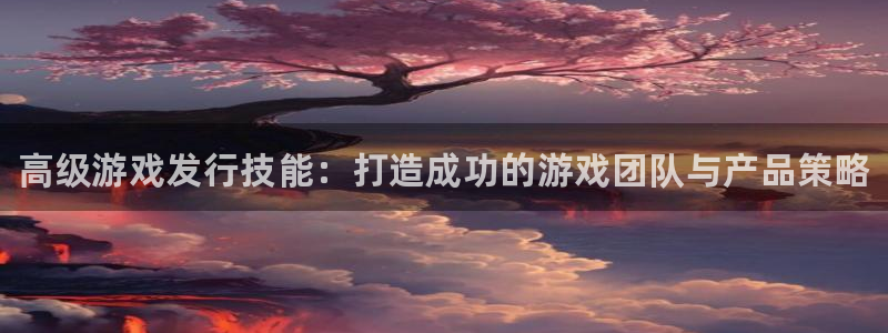 新宝gg账号注册平台：高级游戏发行技能：打造成功的游戏团队与产品策略