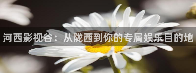 欧美aa电影：河西影视谷：从陇西到你的专属娱乐目的地