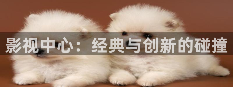 免费看欧美aaa片：影视中心：经典与创新的碰撞