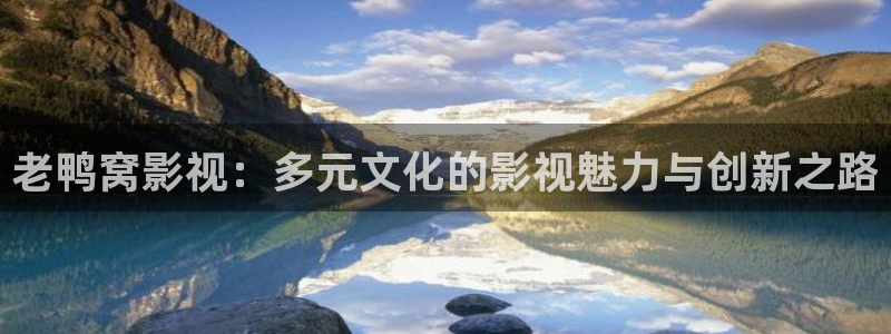 欧美aa大片免费看：老鸭窝影视：多元文化的影视魅力与创新之路