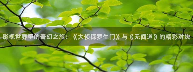 aaaa影院：影视世界里的奇幻之旅：《大侦探罗生门》与《无间道》的精彩对决