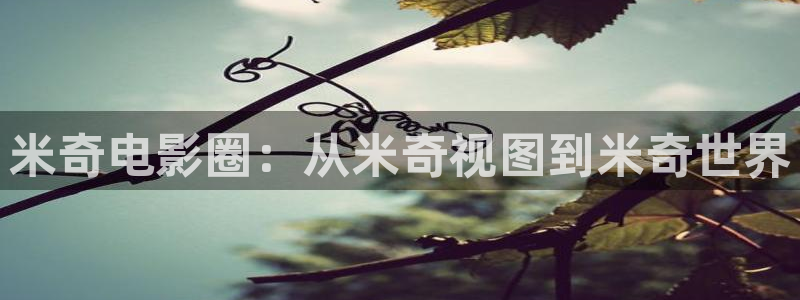 aa午夜影视：米奇电影圈：从米奇视图到米奇世界