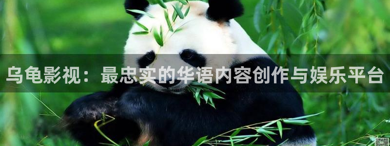 aa午夜电影：乌龟影视：最忠实的华语内容创作与娱乐平台