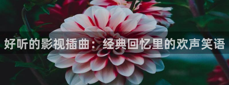 aa99影院：好听的影视插曲：经典回忆里的欢声笑语