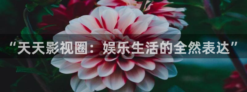 午夜aa电影：“天天影视圈：娱乐生活的全然表达”