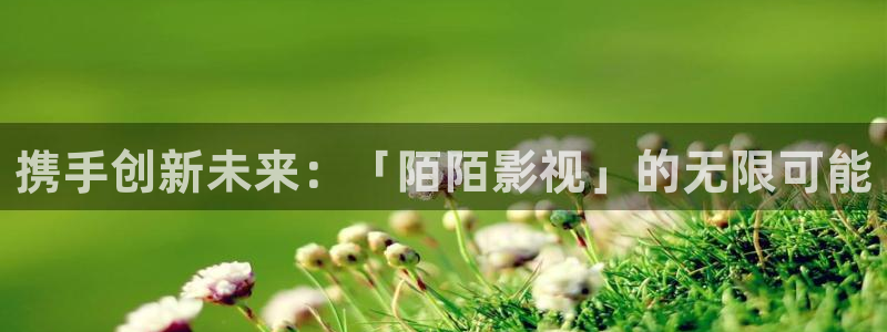 欧美aaaaaa免费电影：携手创新未来：「陌陌影视」的无限可能
