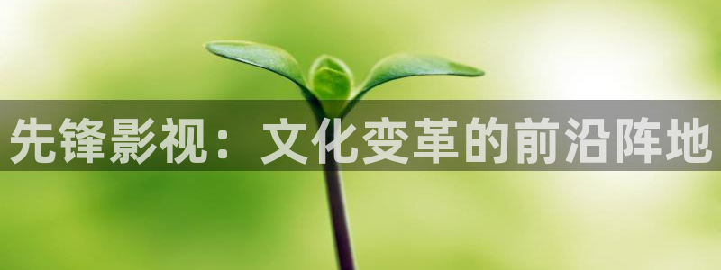 欧美aaaa影院：先锋影视：文化变革的前沿阵地